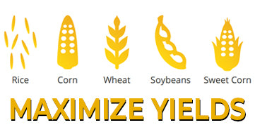 Maximize Your Yields