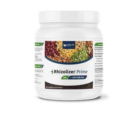 Rhizolizer® Prime for Drybeans