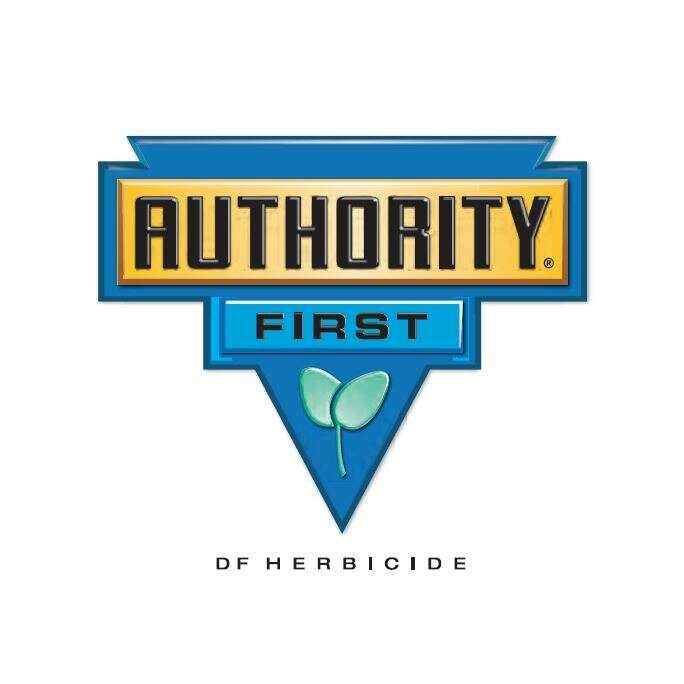 Authority® First DF