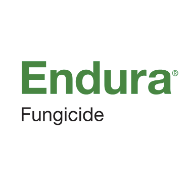 Endura® fungicide