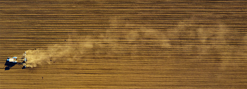 Tractor spreading post-season fertilizer over a dusty dry field.